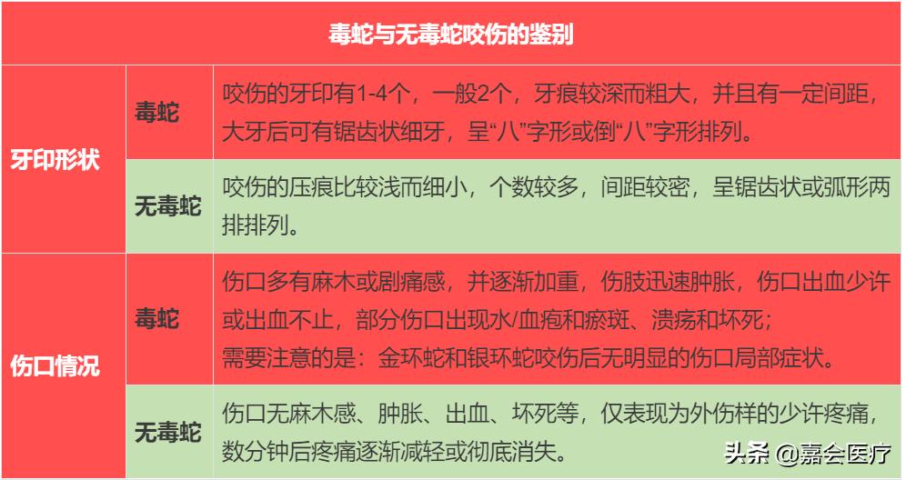 被蛇咬用嘴吸毒,被蛇咬后用嘴吸毒