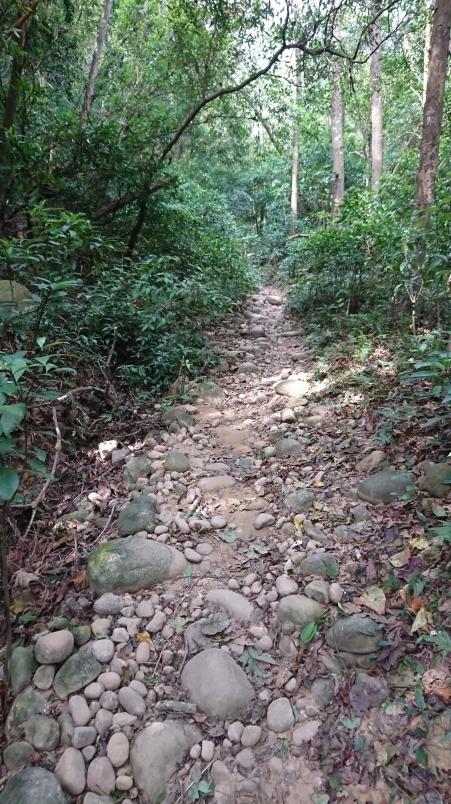 萨洛蒙和泰尼卡越野跑鞋,泰尼卡越野跑鞋至尊全能比较