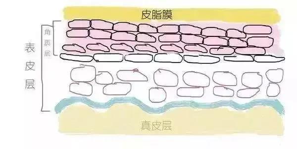 闭口毛孔粗大怎么去角质,闭口痘痘皮肤粗糙毛孔粗大