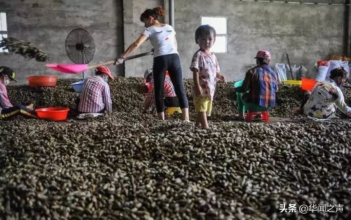 如果人生可以重来我绝不吃槟榔,如果有来生我绝对不吃槟榔