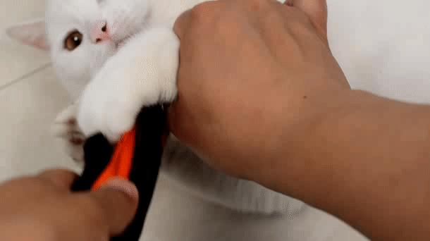 3d视觉检测搬运机器人,3d视觉ai机器人