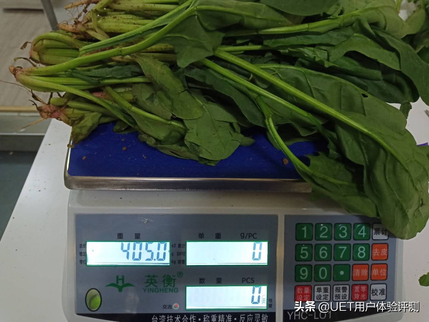 宜干宜湿，众口亦可调！——海尔BCD-462WDCI冰箱深度评测