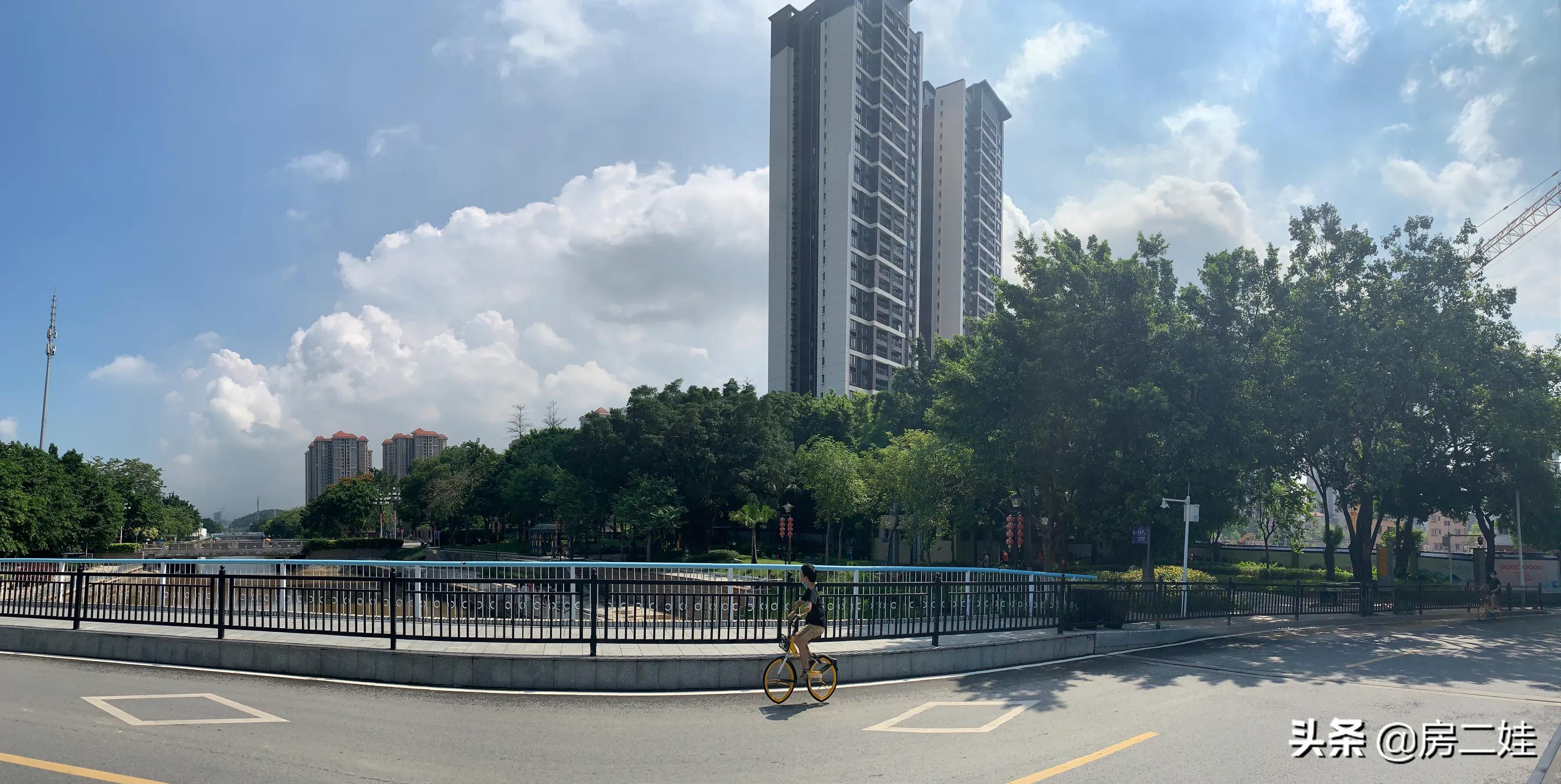 二娃短评,二娃最新点评视频