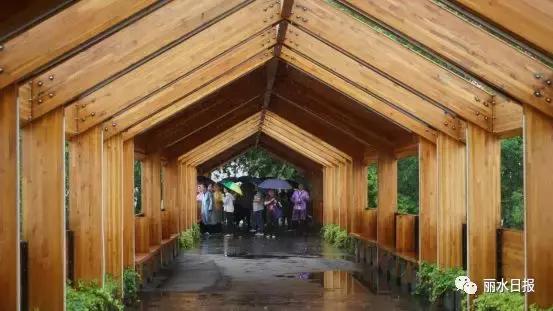 红色新丽水,红色浙西南央视