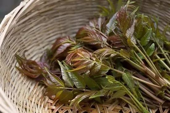 陕西秦岭最美的小城在哪里,秦岭深处的小县城暗藏着绝美秋色