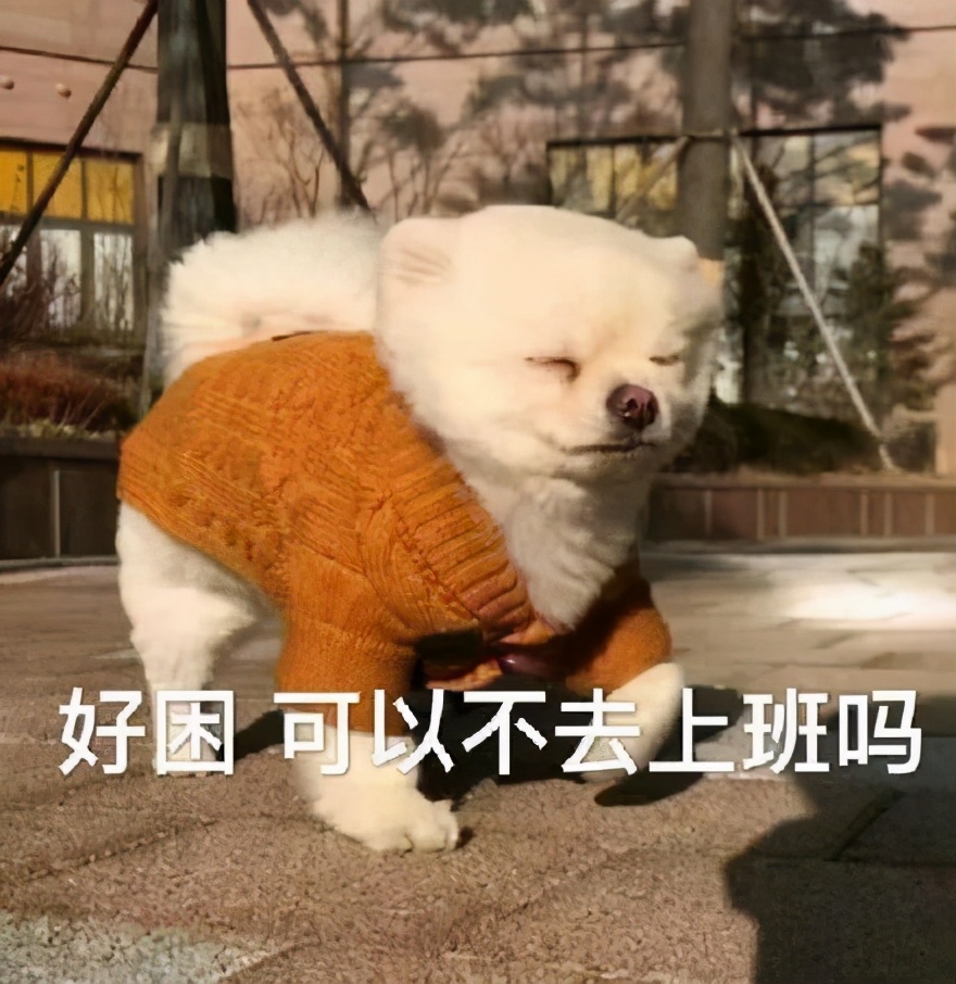 好困不想努力了表情包是什么意思,不想睡觉睡醒了就要上班了表情包