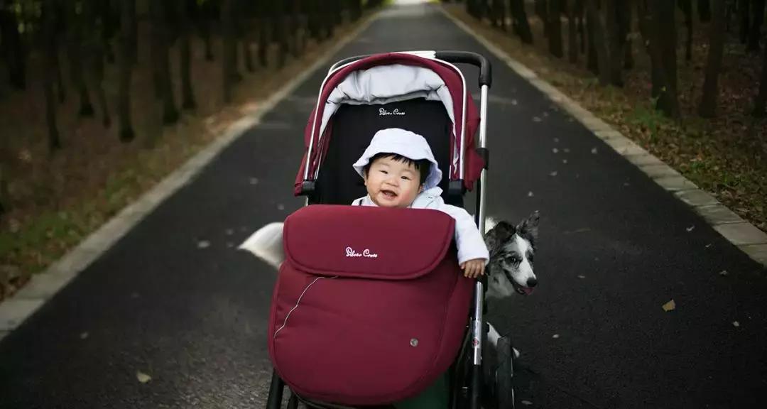 怀孕生子的所有费用如何报销,怀孕生育费用怎么报销幼儿园