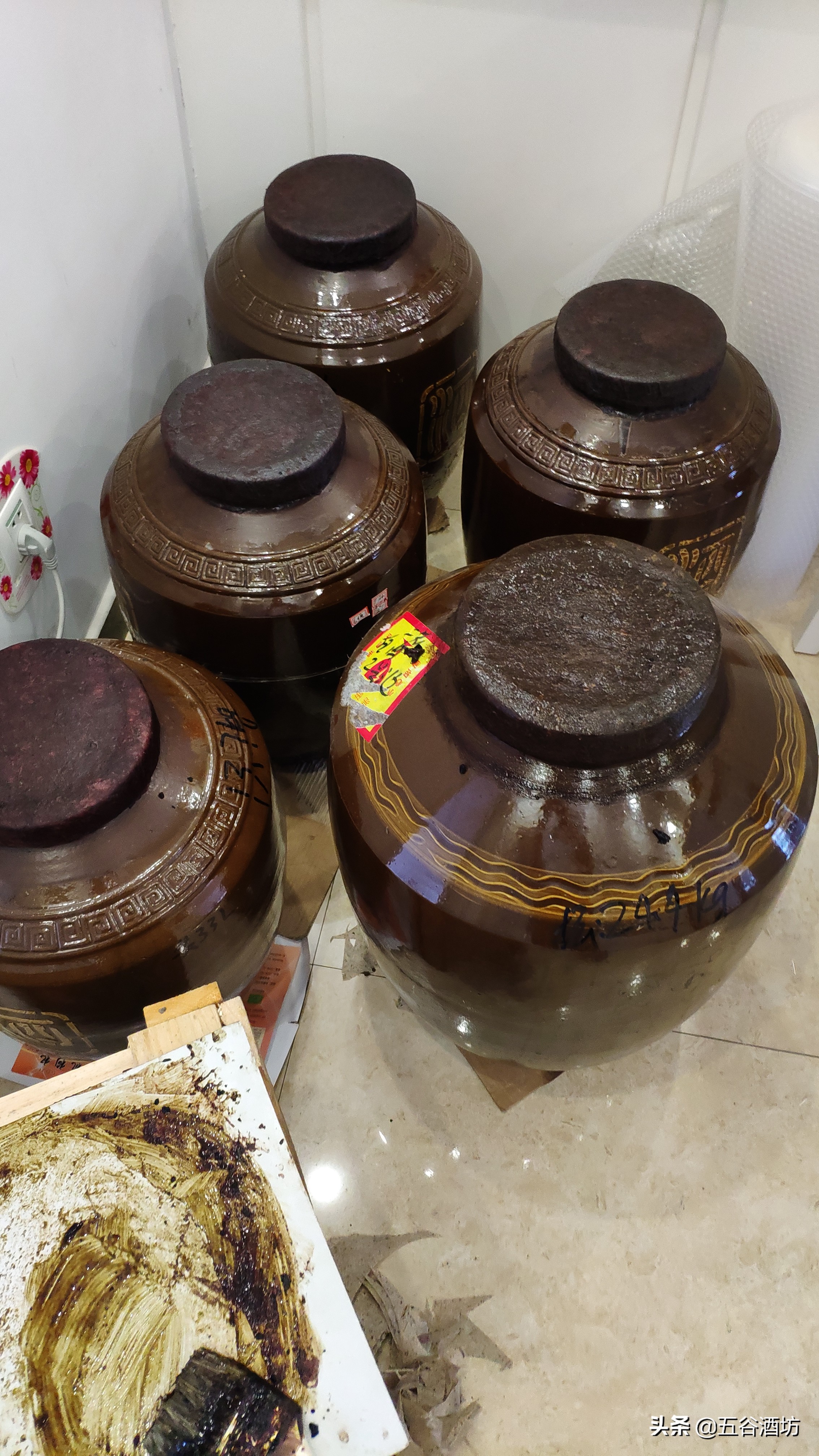 日常喝的5种白酒有哪些,关于白酒你应该知道这些事