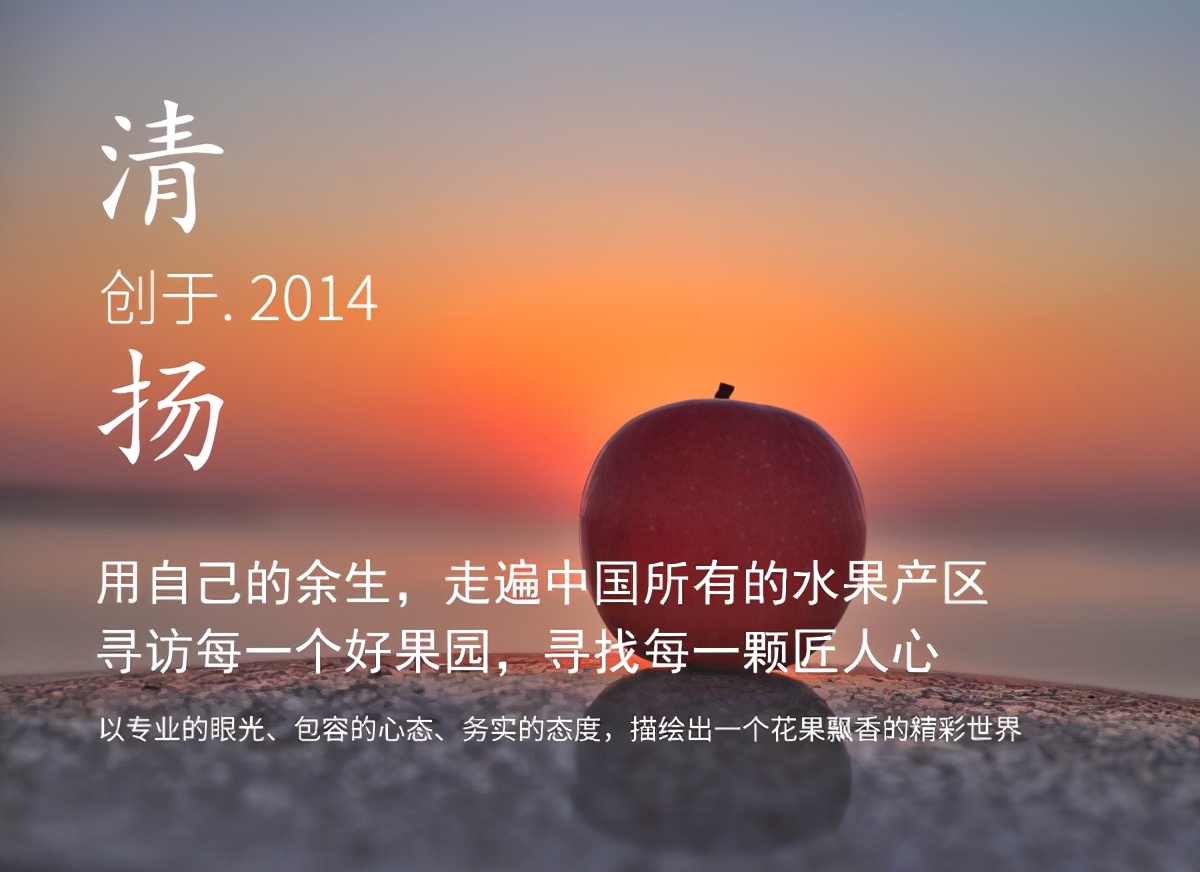 一个农村姑娘的创业经历,一个女农人的创业故事