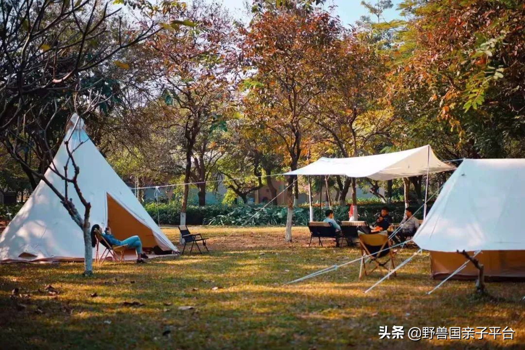 春游在即亲子露营攻略干货奉上,适合亲子的露营装备