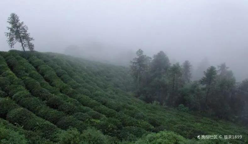 骆崃山景点,骆崃山门票