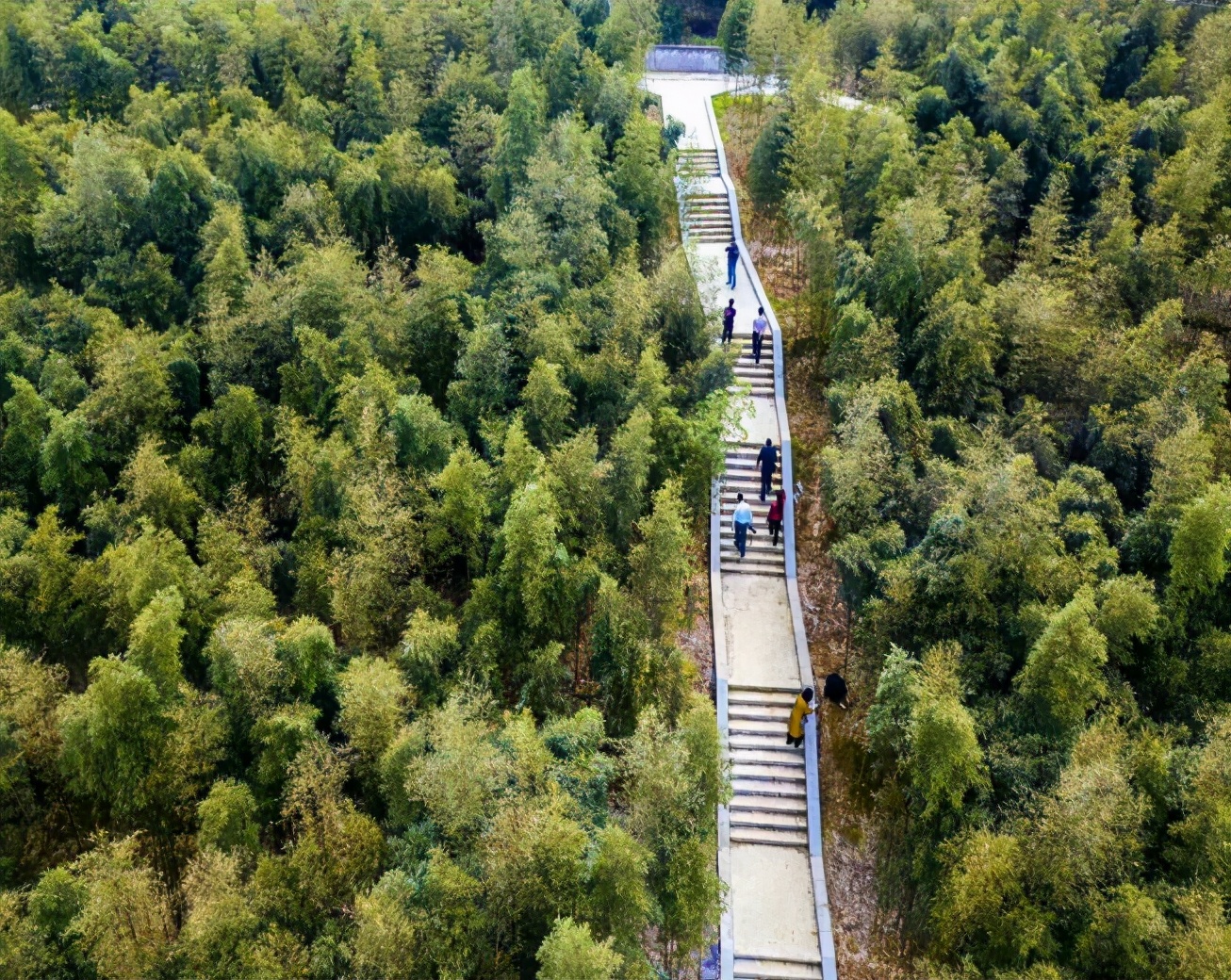 梁平土特产竹笋,重庆忠县正宗竹笋干