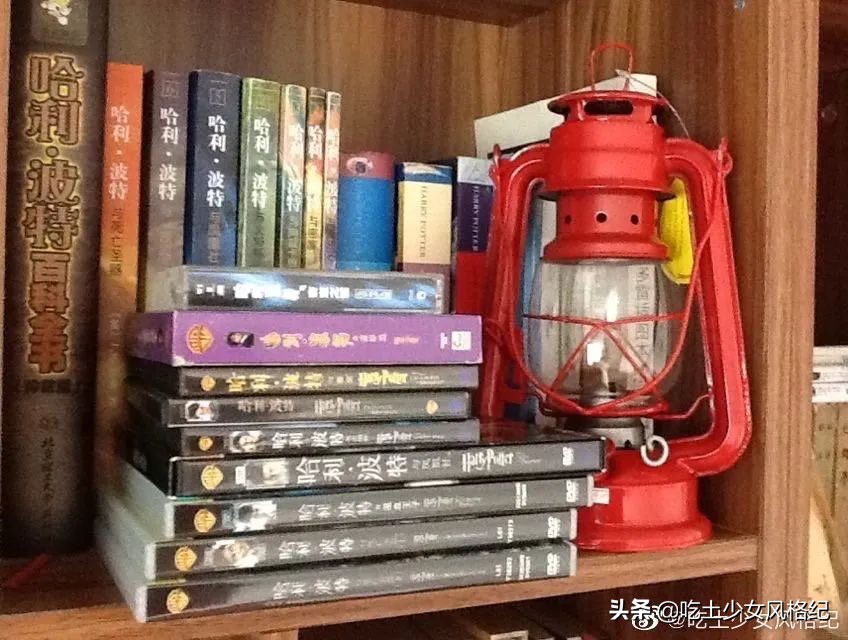 哈利波特四十岁生日的样子,哈利波特十九年后