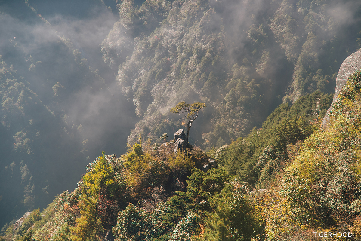 太格有物北京复古咖啡师,太格有物怎么样