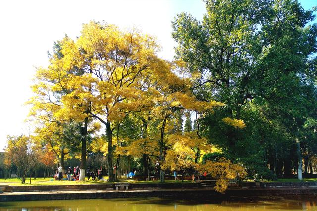 昆明锦园花园,昆明庾家花园