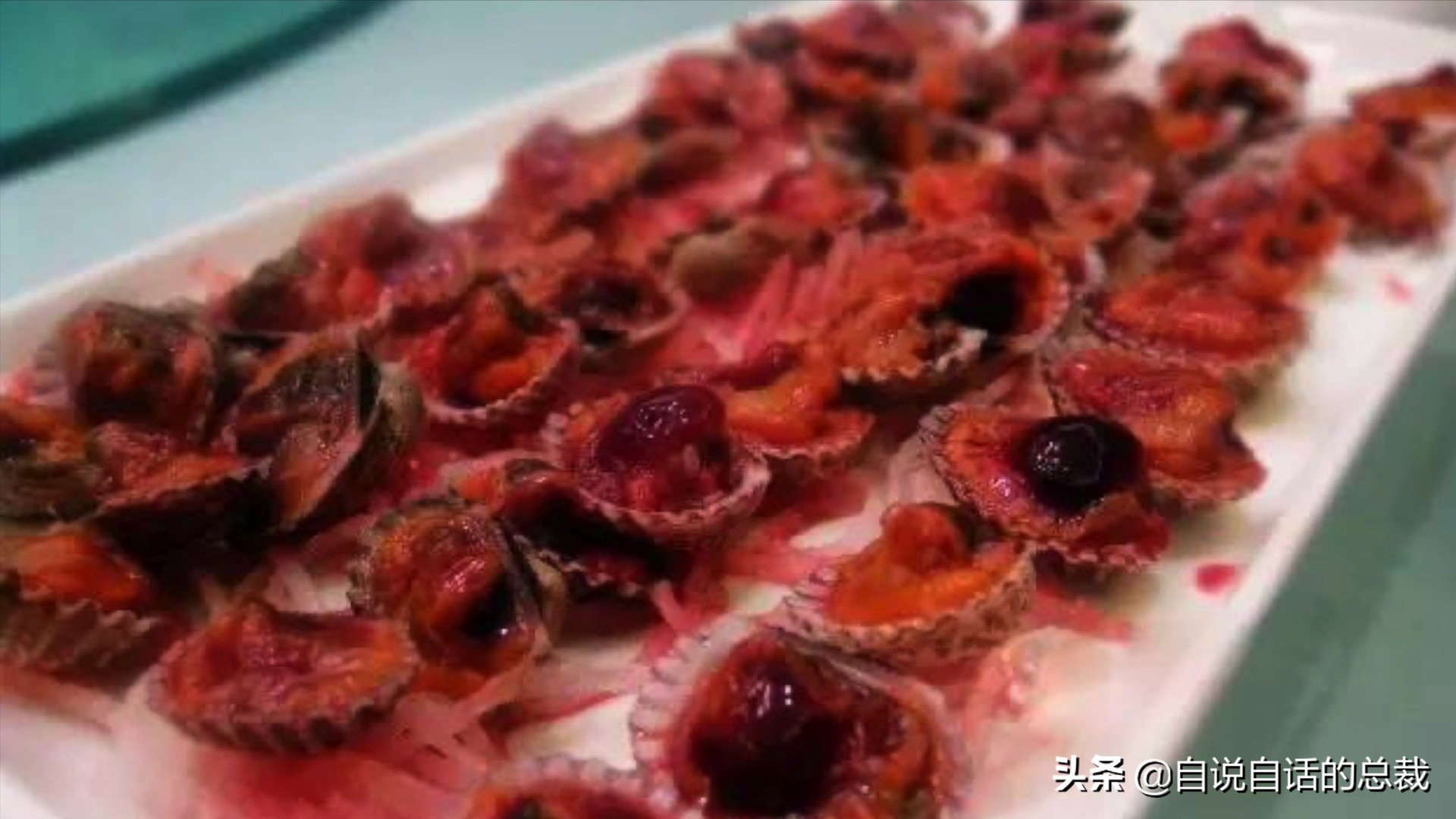 蛏子与小人蚬的区别,贻贝蛤蜊有什么区别