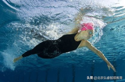 自由泳长游不累的游法3d动画,自由泳长游不累为什么要权威解答