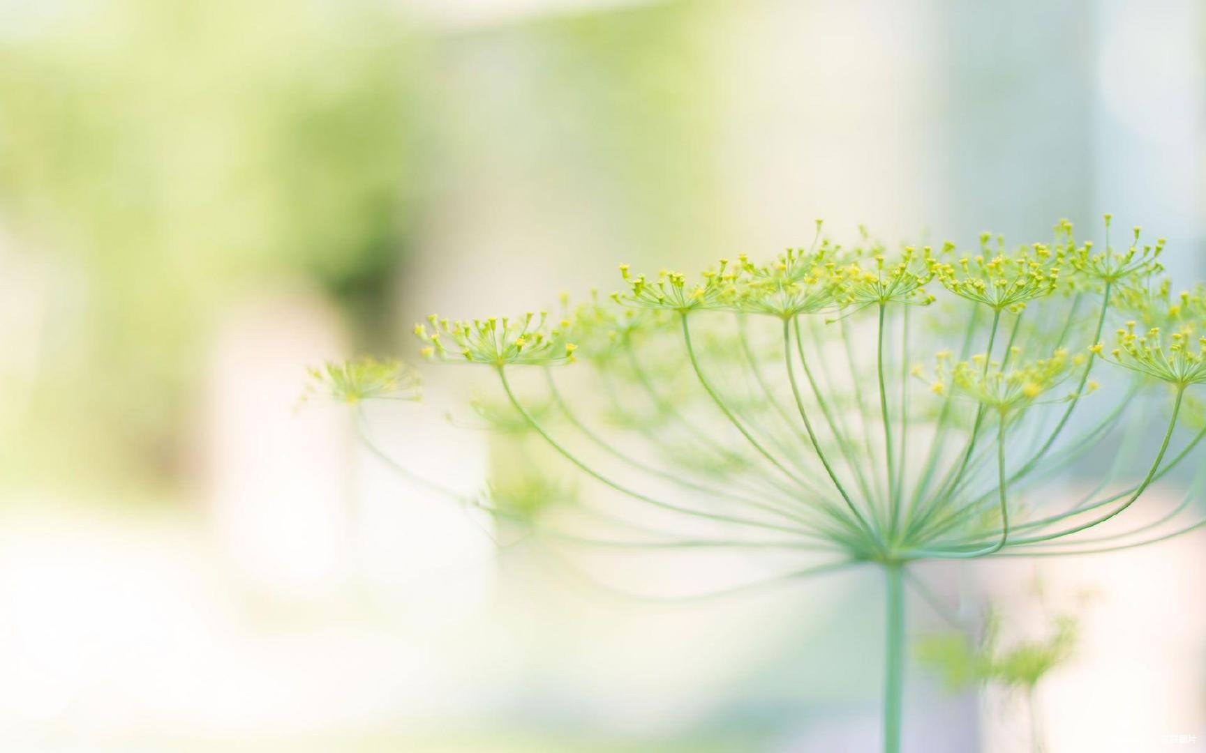 孕期发现感染hpv高危,备孕期间发现hpv怎么办