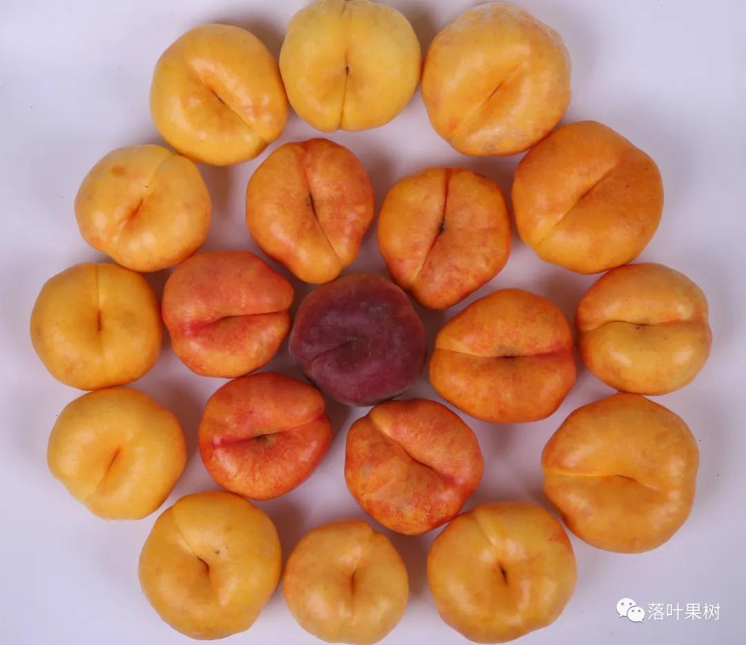 中国桃产业转型升级,桃产业转型升级的思考