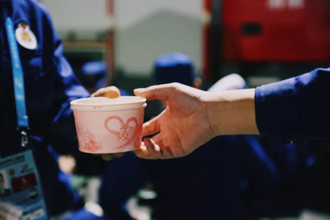 在江夏，我遇见了青松