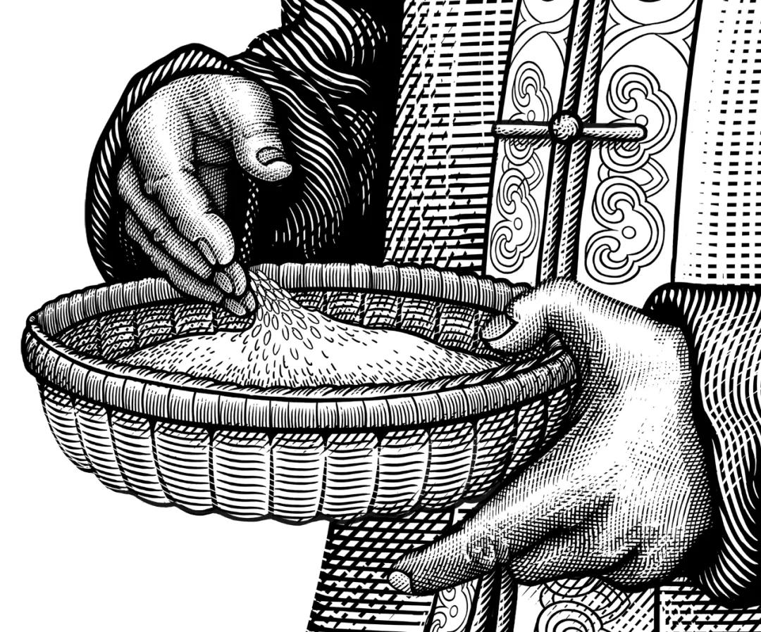 大米包装创意图案,国内大米包装设计现状