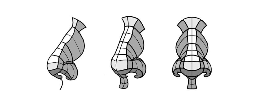 画鼻子怎么画好看,今天来教你怎么画鼻子