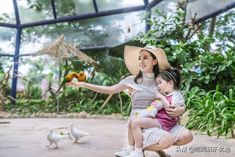 厦门灵玲动物王国大熊猫,厦门马戏团灵玲动物王国观光游览