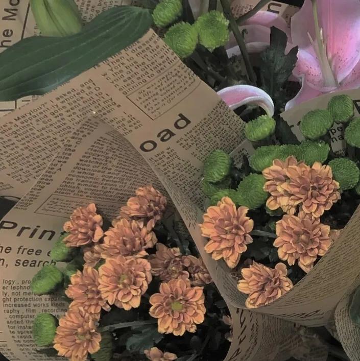 温柔女主小说,温柔贤淑女主文