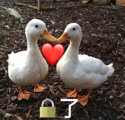 混吃等死、一夜暴富…现实给不了希望只能靠表情包续命