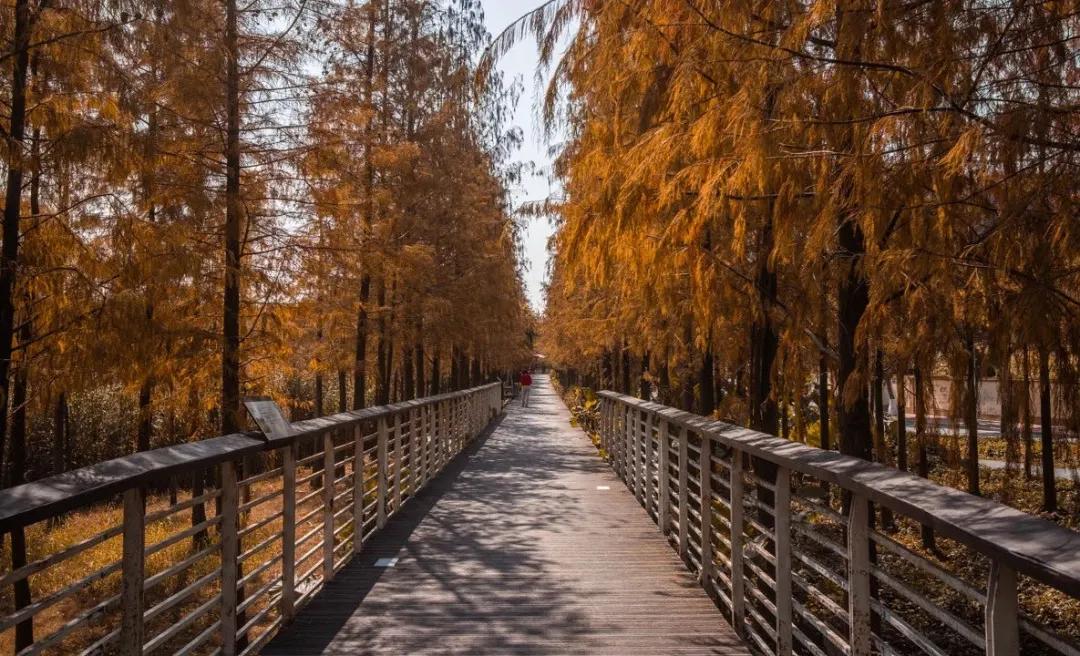 广州花都公园景点地图 (花都旅游景点分布图高清版)