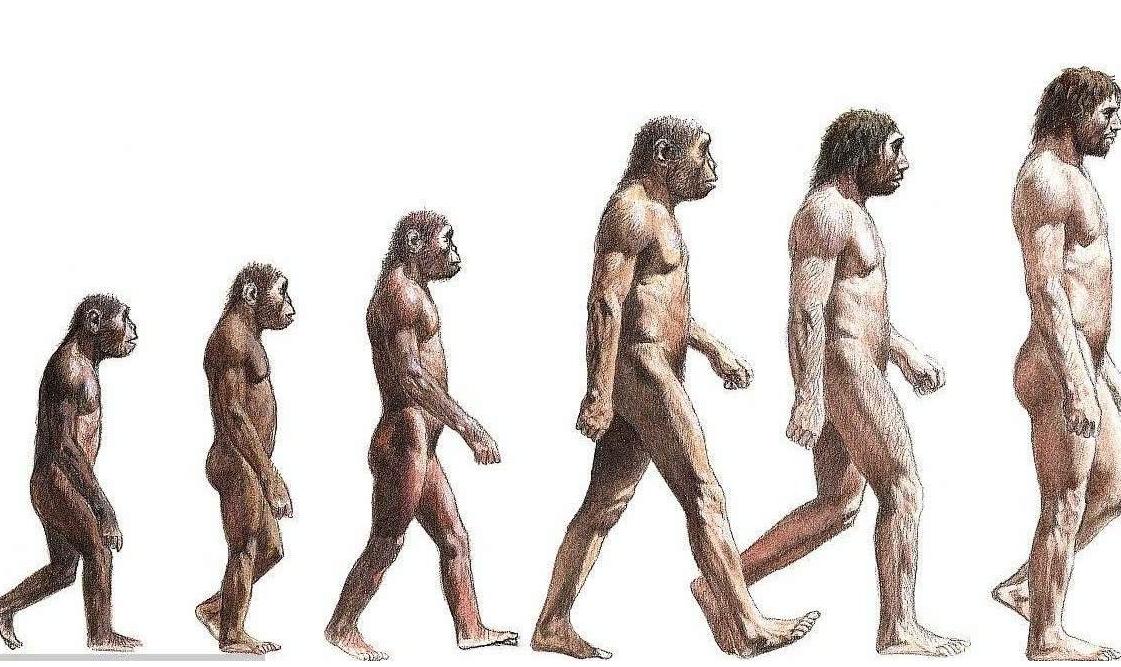 30岁女性体毛掉是什么原因,女性体毛重年老后可以减轻吗