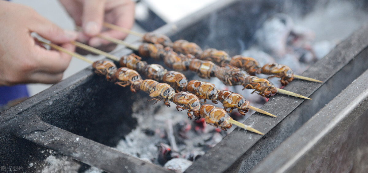 夏天印象,夏天印象的视频