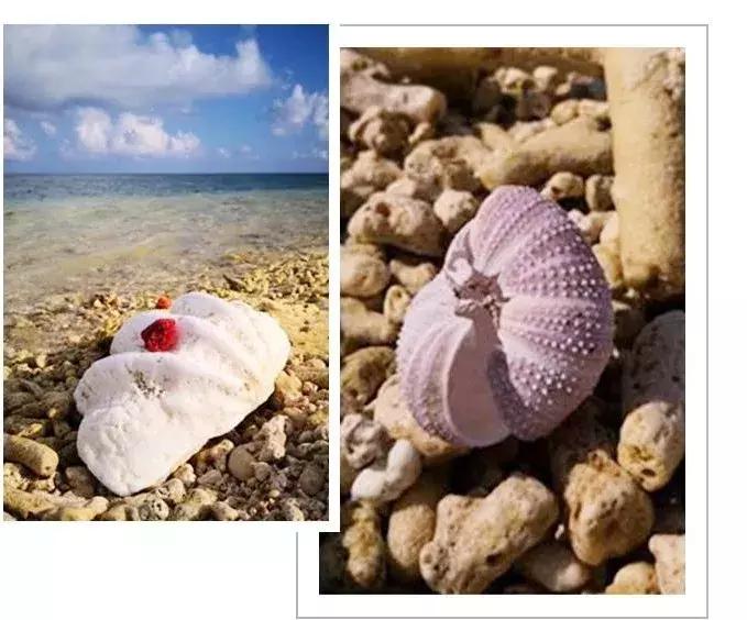 成都可以去的小岛,成都小岛旅游推荐路线攻略