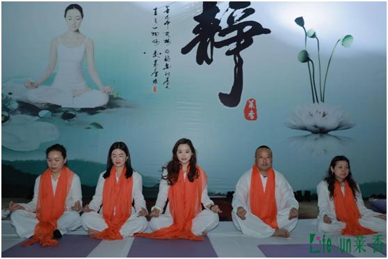 静心养生禅修,静心养心禅悟人生