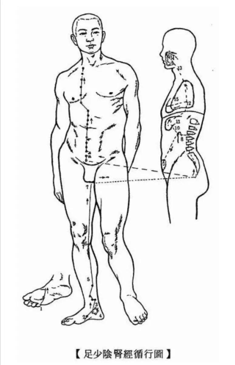 目前最火最有效的针灸针法,中医古法针灸美容教程