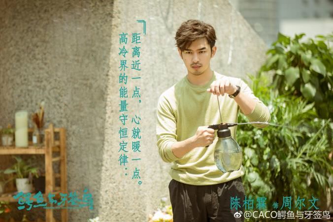 共生的“鳄鱼与牙签鸟”,隐喻95后情感观,藏着生态叙事的新门道