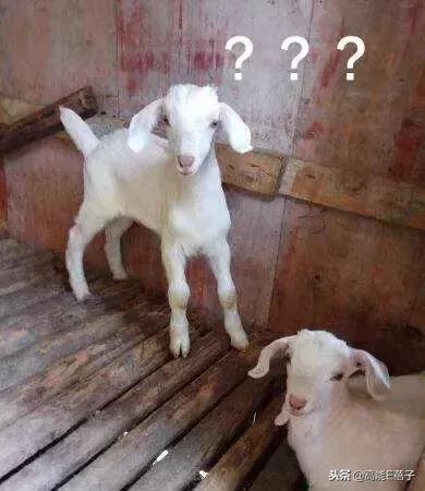 j姐的鞋,j姐的高跟鞋