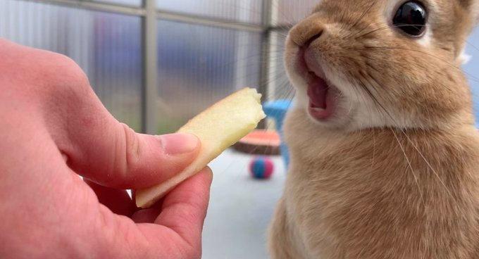 上厕所如何不被水溅到,上厕所怎么能不让水溅身上