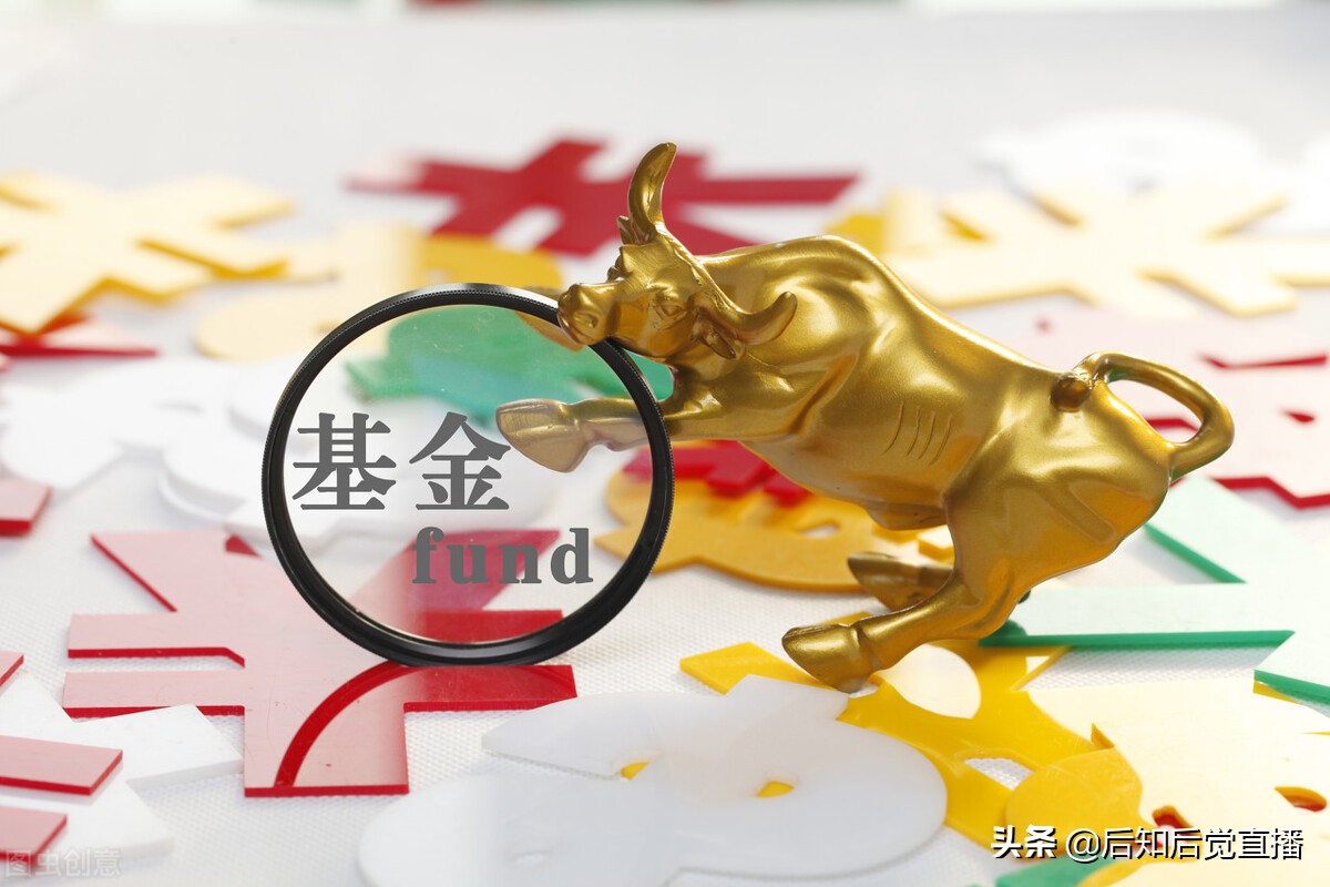 封闭式基金投资技巧有哪些方面,哪些基金是封闭式基金类型