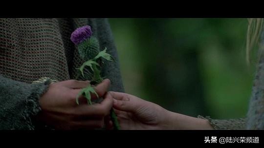 勇敢的心从第一部开始看,从勇敢的心开始