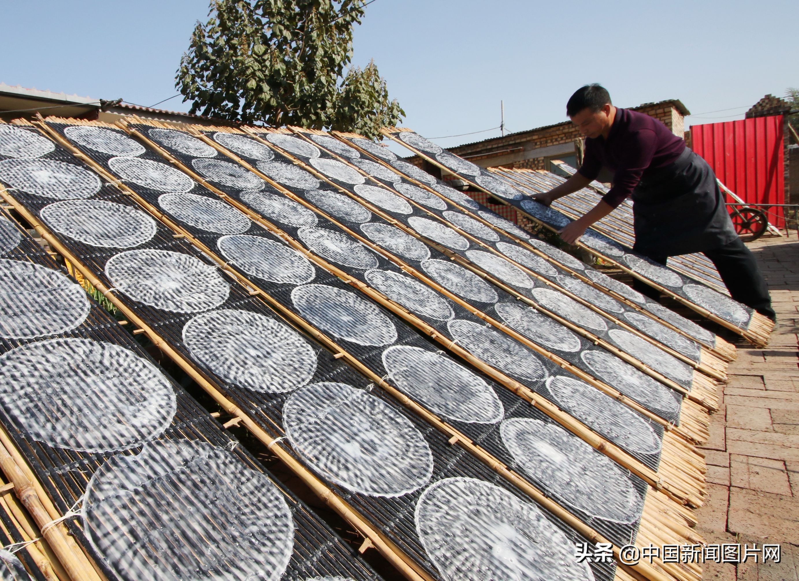 黄县手工粉皮现做现卖,粉皮加工厂致富项目