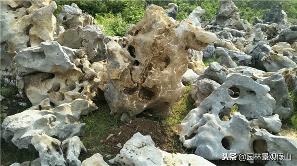 假山一般是什么石头做的,假山石材料有几种