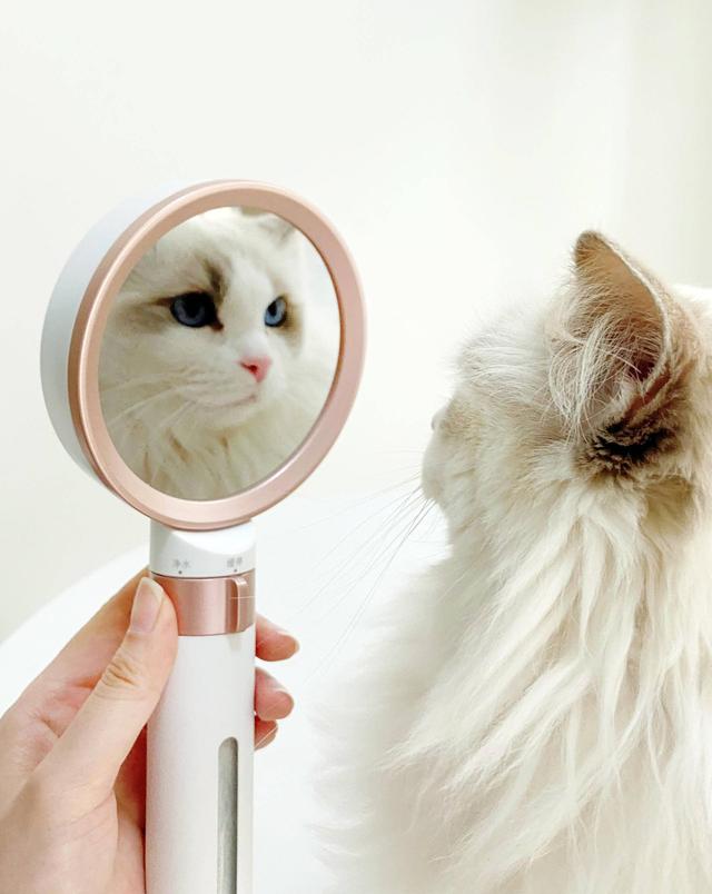 为什么科勒卡戴珊这么火,为什么科勒和箭牌价格差这么多