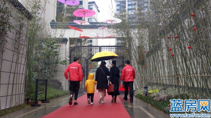 龙岩蓝房最新消息,蓝房探盘