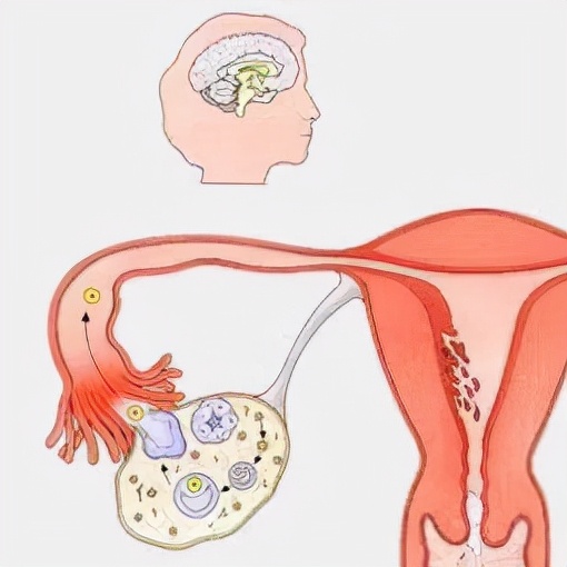 中医喊你来治疗慢性盆腔炎，多的是你不知道的优势