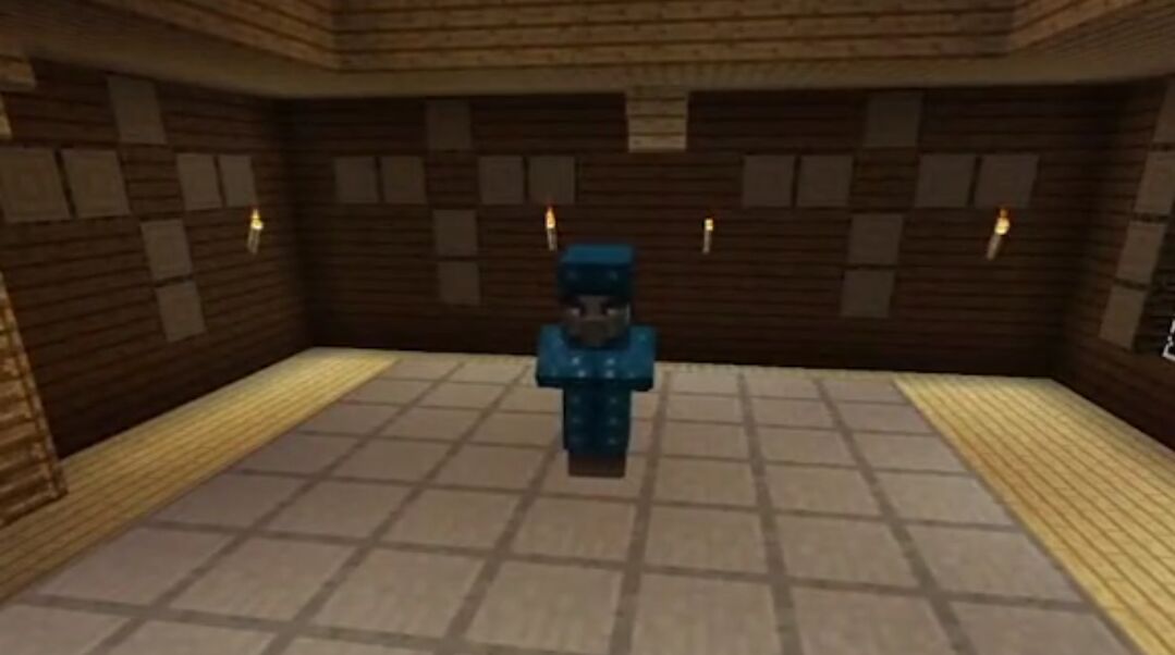 我的世界幻术师的由来,我的世界中的幻术师长什么样