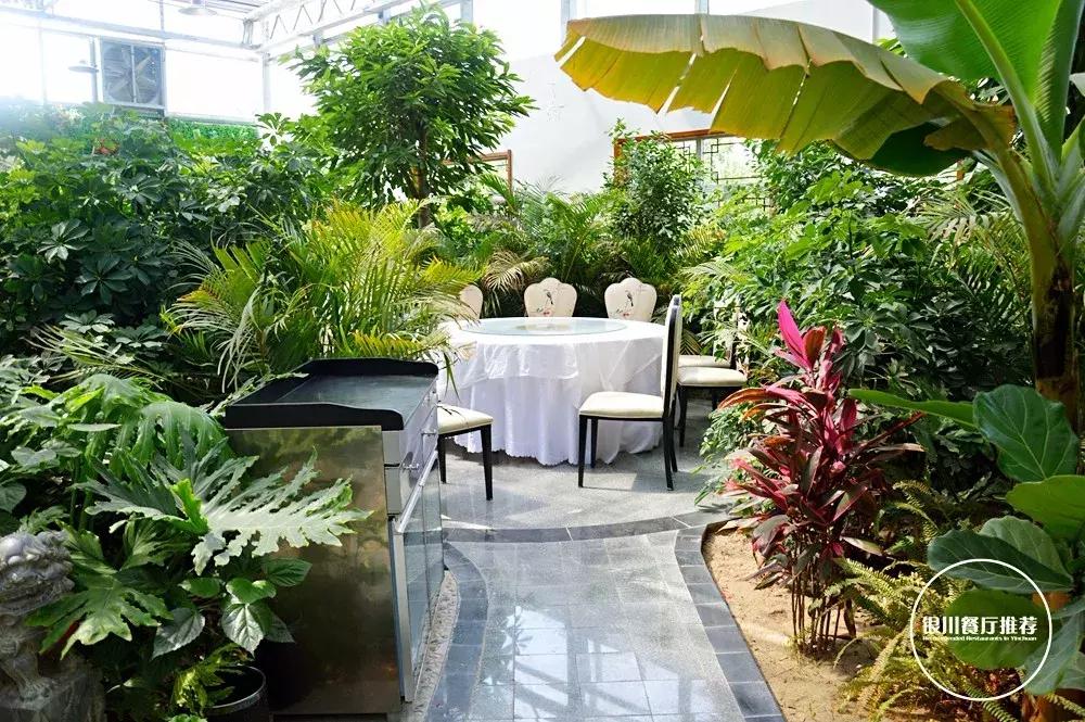 银川清真的农家乐烤全羊哪家好吃,银川烤全羊的海鲜自助推荐