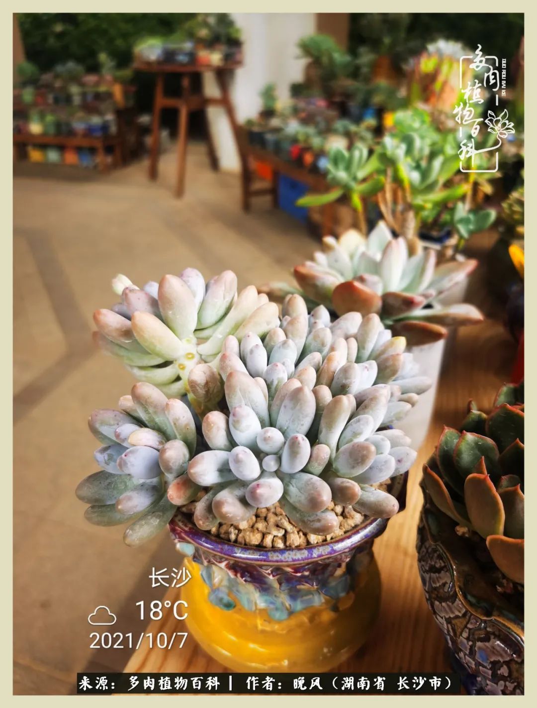 摇身一变成了奶爸,摇身一变成为打工人