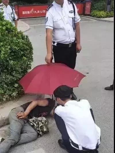 一篇文章搞懂全部文言文,管南神盘