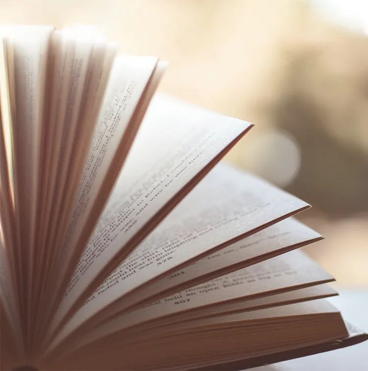 小学语文教研沙龙活动美篇,小学语文教研组研修活动